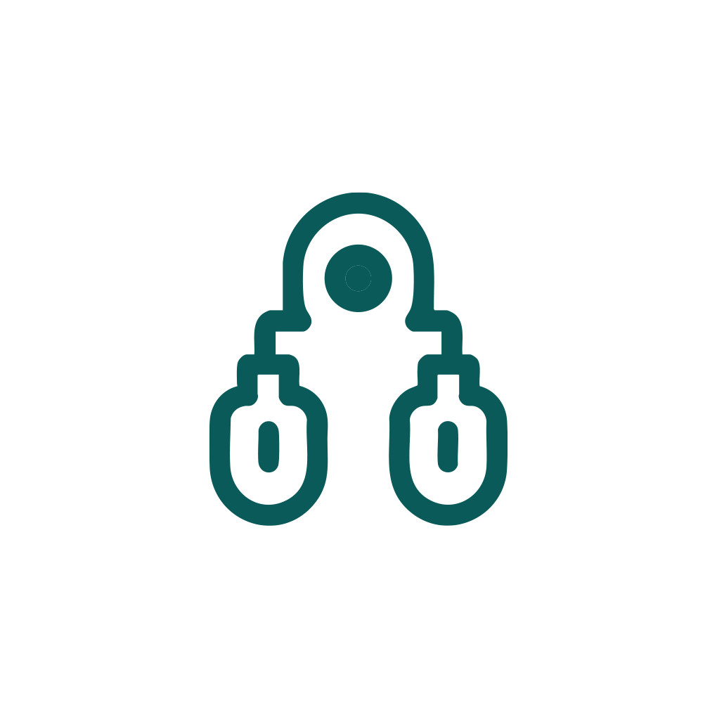 circuit icon