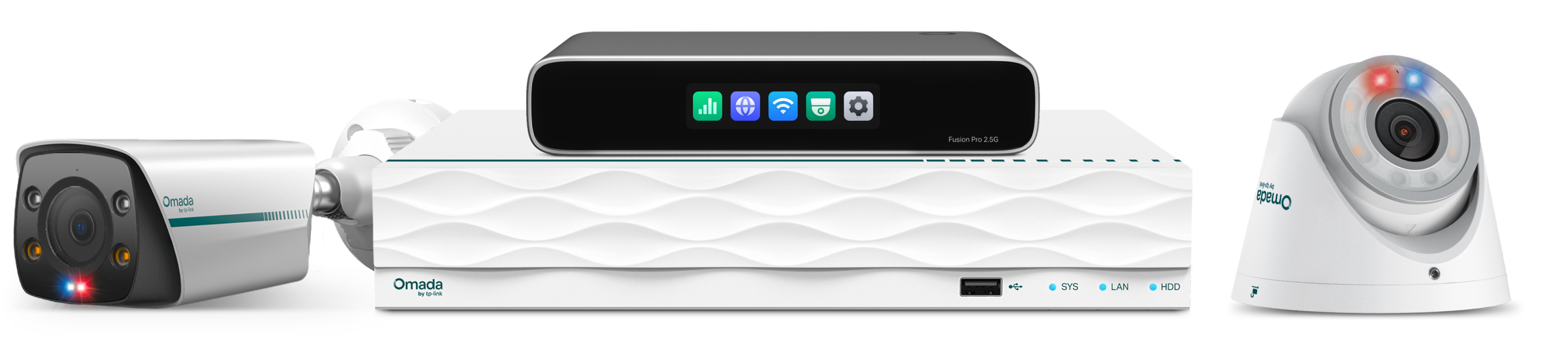 Omada Fusion Pro 2.5G with NVR and security cameras